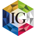 Iida Group logo