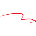 American Financial Group logo