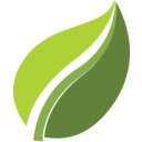 Devyani International logo