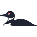 Johnson Outdoors Inc. logo