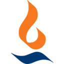 Max Financial Services logo