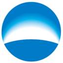 Woori Financial Group logo